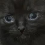 Profile picture of Clayton-Naftzger