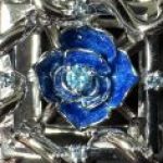 Profile picture of Crystal