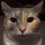 Profile picture of Hernan